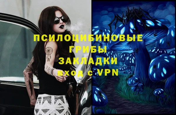 дживик Аркадак