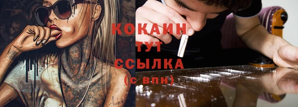 дживик Аркадак