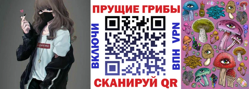 Купить где  Вичуга  Галлюциногенные грибы Psilocybe 